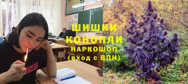 гашик Абинск