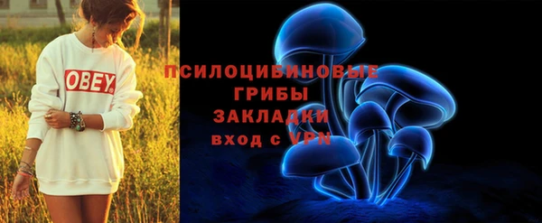 спайс Алексин