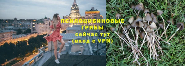 гашик Абинск